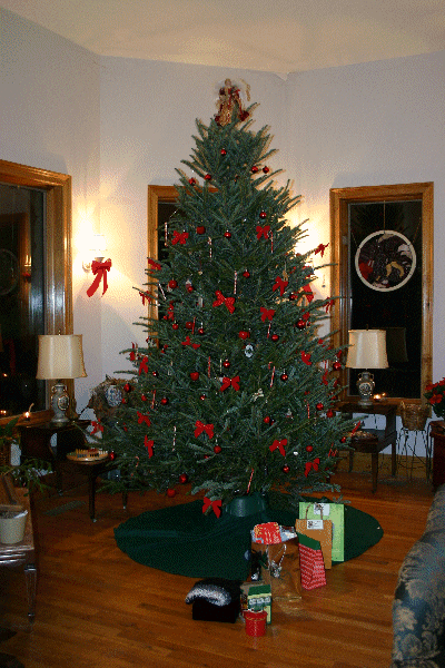 We got this gorgeous Christmas Tree from Heritage (High School) Baseball -- a friend is a coach and suggested we look there -- and should have taken more pictures after all the gifts were added around it prior to our Christmas gathering. Oh well!